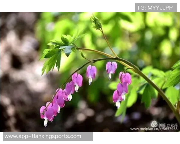 金特罗：我心中的河床如同皇家马德里南美足球赋予我无限可能